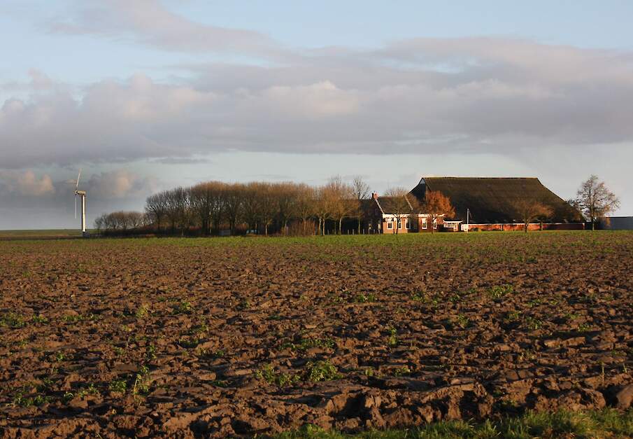 Beeld ter illustratie.