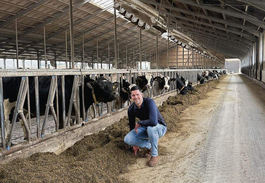Jan Zeinstra in de melkveestal. Vroeger werd er alleen gras gevoerd. Inmiddels verbouwt hij weer mais en bestaat het rantsoen uit 40 procent snijmais.