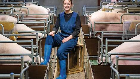 Tijdens haar studie liep Daphne Vliegen (25) stage bij een Livar-stal in Berkelaar (LB) waar ze onderzoek deed naar mestgedrag van varkens.