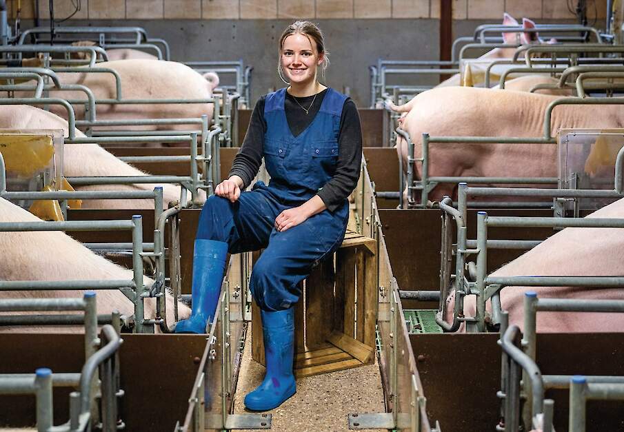 Tijdens haar studie liep Daphne Vliegen (25) stage bij een Livar-stal in Berkelaar (LB) waar ze onderzoek deed naar mestgedrag van varkens.
