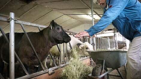 Beeld ter illustratie.