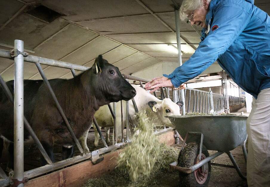 Beeld ter illustratie.