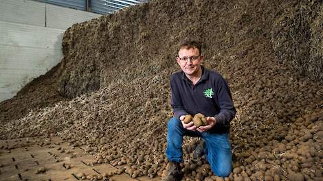 Na het faillissement van C&ecirc;laV&iacute;ta bleef Richard Hardeman zitten met 1,5 miljoen kilo aardappelen.