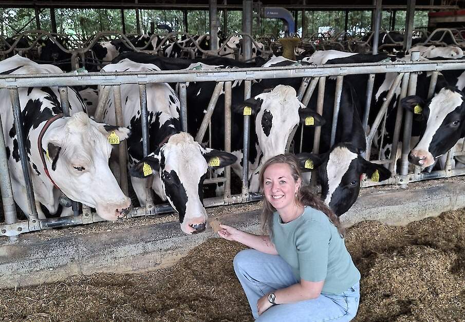 Kennismakelaar Melkveehouderij Anouk Schellekens.