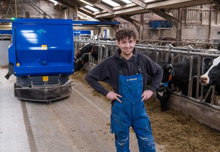 Automatisch voersysteem voert melkkoeien bij Nijstad