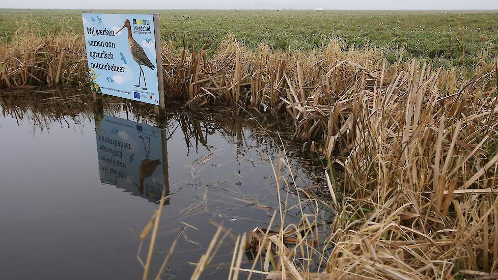 Maatregelen voor agrarisch natuurbeheer