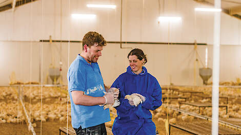 Joost Slingenbergh en zijn vrouw Suzan Slingenbergh-Houtepen houden 12.600 biologische vleeskuikens in &eacute;&eacute;n stal in Siebengewald (LB). Ze schakelden in 2023 om van biologische leghennen naar vleeskuikens.