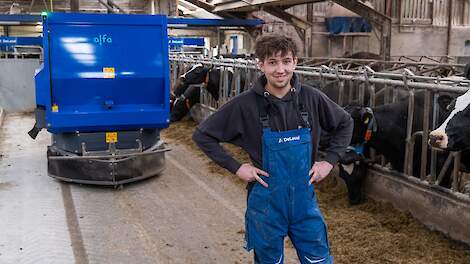 Automatisch voersysteem voert melkkoeien bij Nijstad
