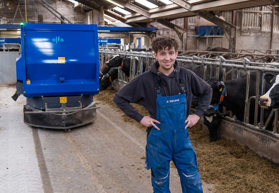 Automatisch voersysteem voert melkkoeien bij Nijstad