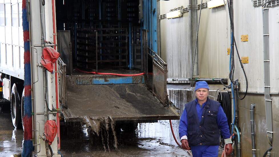 Een vrachtwagen wordt schoongespoten na diertransport. In totaal zijn er nu veertien Europese landen die op de lijst staan van de verplichte dubbele reiniging en ontsmetting bij terugkeer in Nederland.