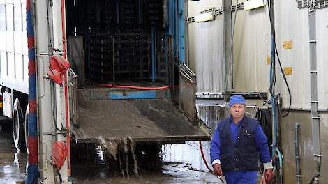 Een vrachtwagen wordt schoongespoten na diertransport. In totaal zijn er nu veertien Europese landen die op de lijst staan van de verplichte dubbele reiniging en ontsmetting bij terugkeer in Nederland.