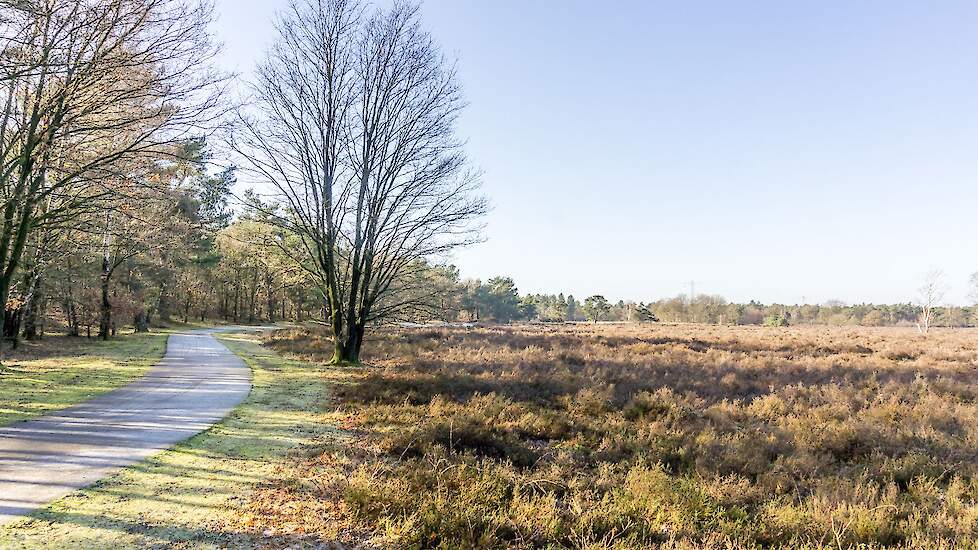 Landbouwgrond naast bosgrond