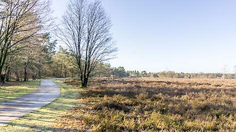 Landbouwgrond naast bosgrond