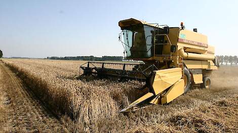 Graanoogst op akker met combine
