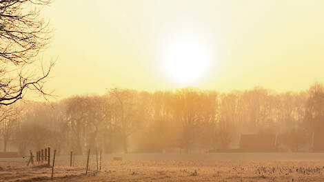 Stichting Zorg om Boer en Tuinder ondersteunt boeren bij zorgen over hun bedrijf en toekomst. Praten met een onafhankelijke vrijwilliger kan helpen.