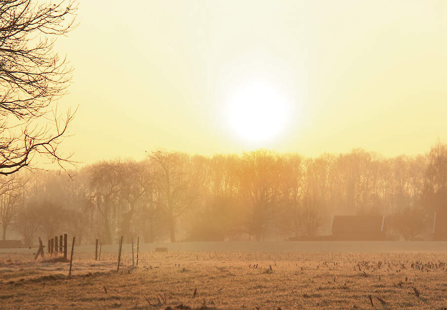 Stichting Zorg om Boer en Tuinder ondersteunt boeren bij zorgen over hun bedrijf en toekomst. Praten met een onafhankelijke vrijwilliger kan helpen.