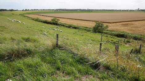 Met miljoeneninvesteringen werkt Zeeland aan natuurherstel, onder meer via maatregelen op landbouwgrond en in kustgebieden zoals de Oosterschelde.