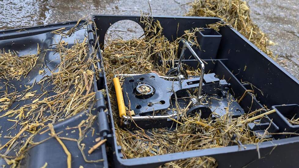 Beeld ter illustratie.