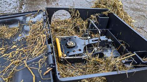 Beeld ter illustratie.