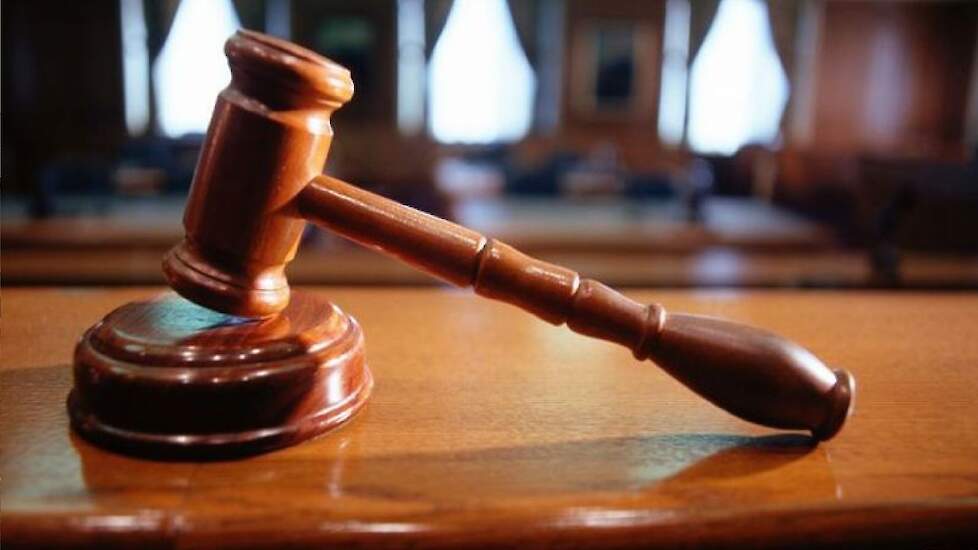 De Raad van State geeft groen licht voor woningbouw in Brakel-West, mits de gemeente Zaltbommel het bestemmingsplan op twee punten aanpast.