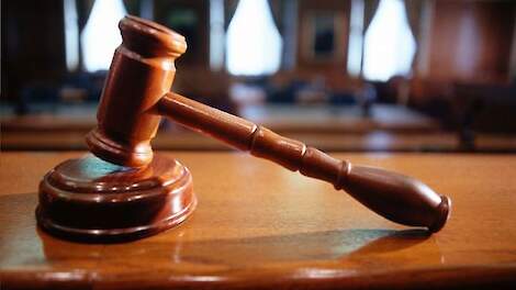 De Raad van State geeft groen licht voor woningbouw in Brakel-West, mits de gemeente Zaltbommel het bestemmingsplan op twee punten aanpast.