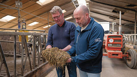 Gert Dinkelman en voeradviseur Stuart Knowles beoordelen samen het droogstandsrantsoen.