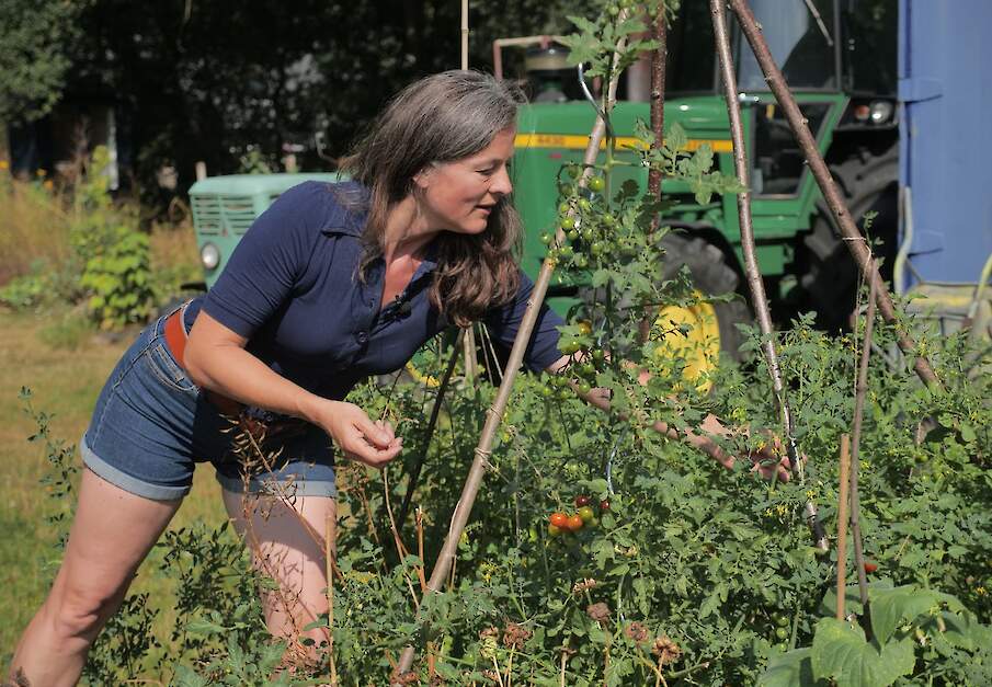 Beeld ter illustratie.