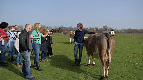 Veehouder Gerjo Koskamp houdt kalveren drie maanden bij de koe.