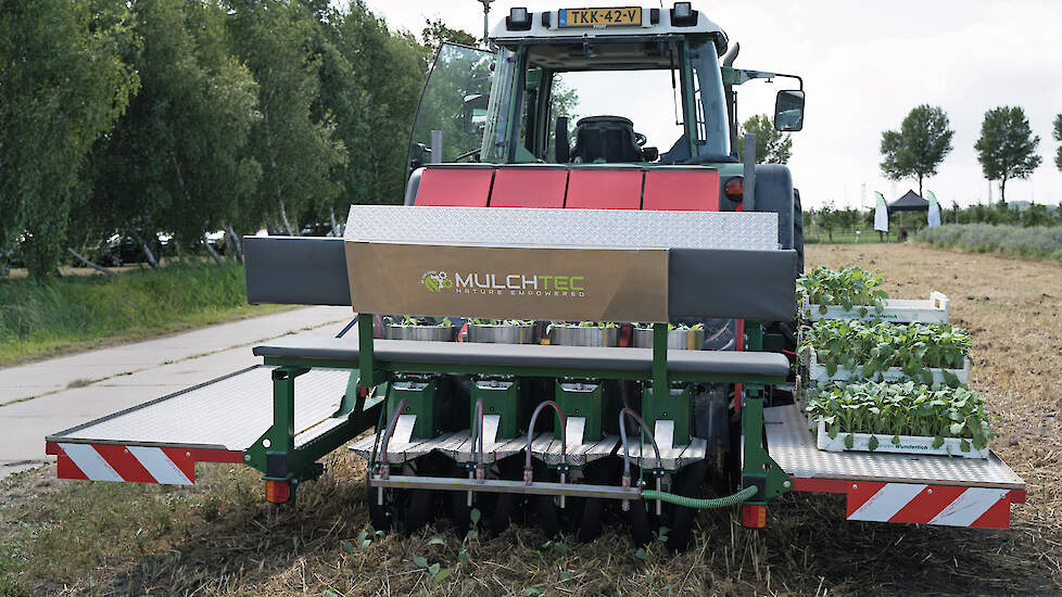 Onderzoek en praktijk tonen kansen en aandachtspunten van mulchen in de akkerbouw.