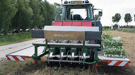 Onderzoek en praktijk tonen kansen en aandachtspunten van mulchen in de akkerbouw.