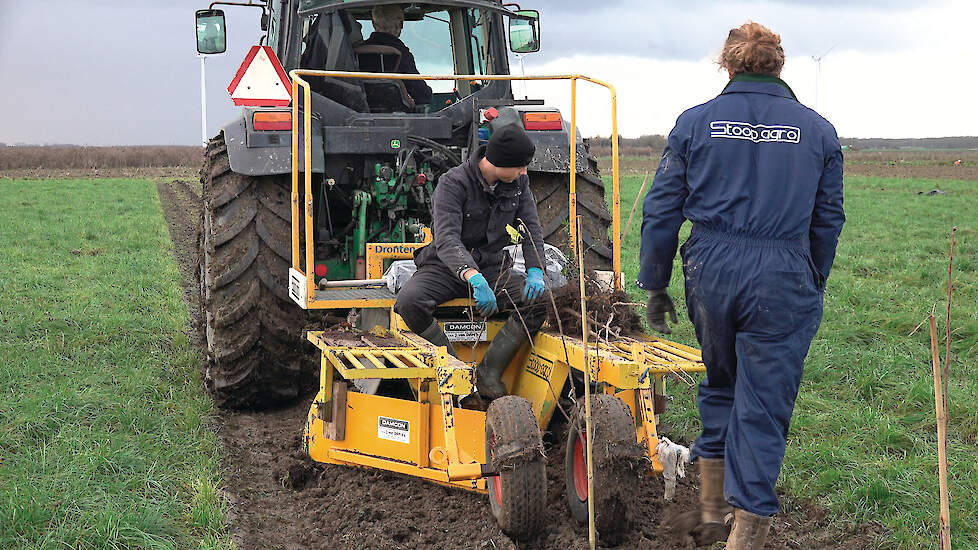 Praktijkonderzoek van WUR Open Teelten en Louis Bolk laat zien welke keuzes agroforestry op landbouwgrond economisch haalbaar kunnen maken.