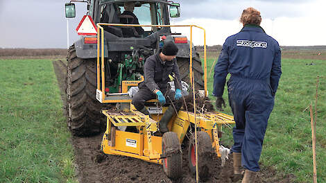 Praktijkonderzoek van WUR Open Teelten en Louis Bolk laat zien welke keuzes agroforestry op landbouwgrond economisch haalbaar kunnen maken.