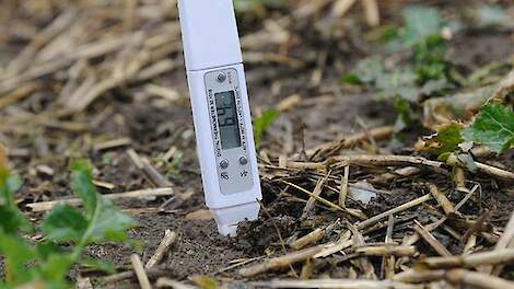 Zo leg je de basis voor een topopkomst