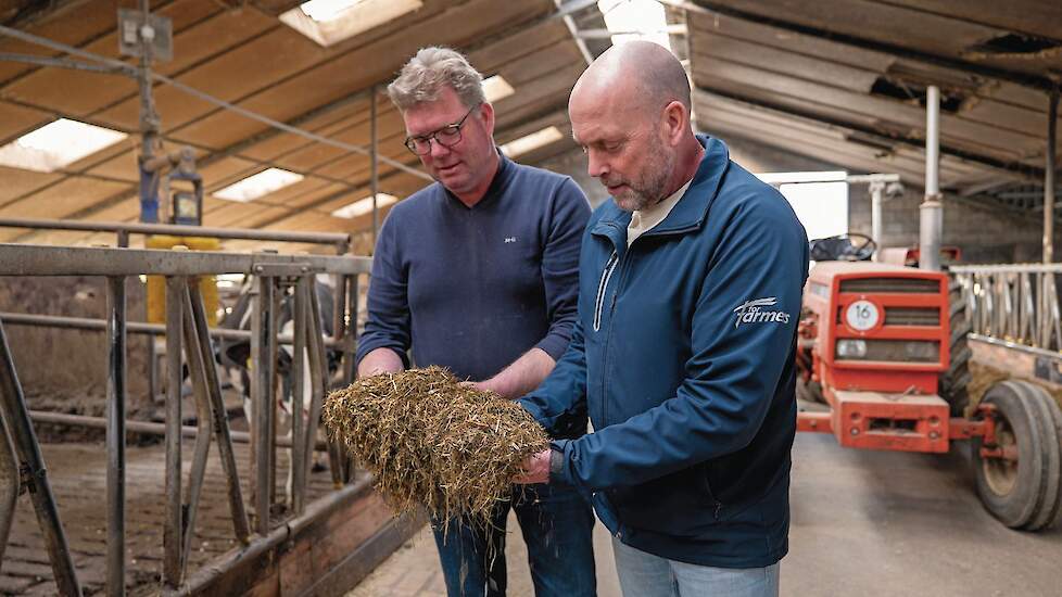 Gert Dinkelman en Stuart Knowles bekijken het droogstandrantsoen