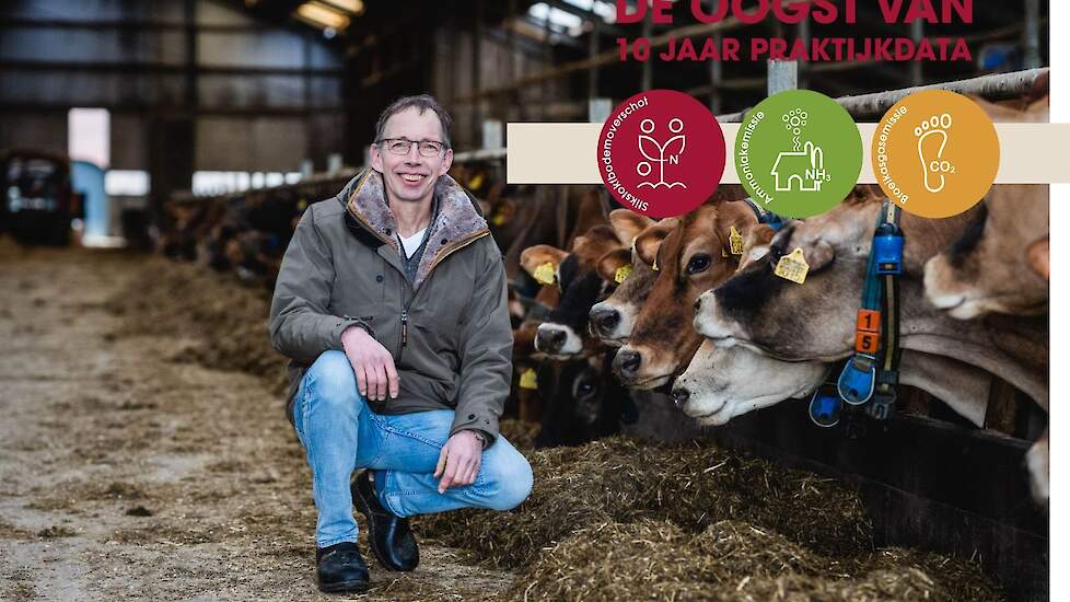 jersey ras efficiency gehaltes