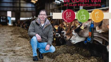 jersey ras efficiency gehaltes