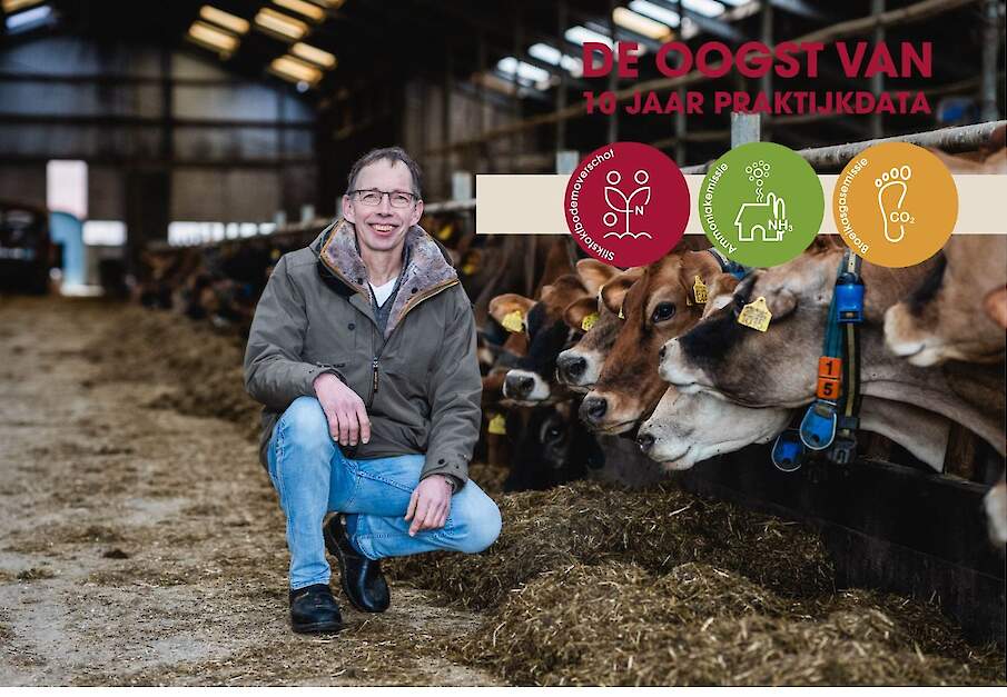 jersey ras efficiency gehaltes