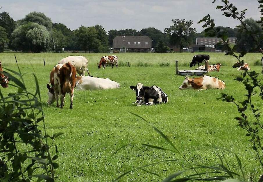 Beeld ter illustratie.