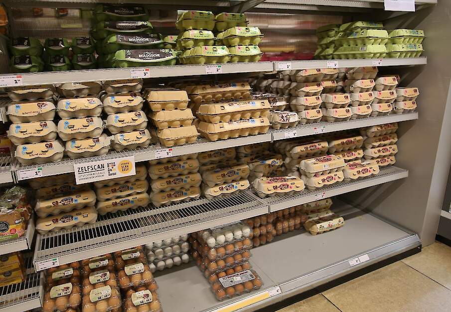 Biologische eieren stegen met 26 procent in prijs en opzichte van 2021. De gemiddelde prijs bedroeg in februari 0,43 euro per ei.