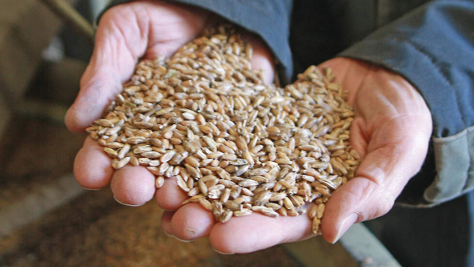 Veredelaar Edwin Nuijten geeft praktische tips voor zaadselectie en vermeerdering, van juiste plantkeuze tot bewaring en voorkomen van ziekten.