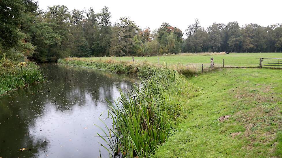 Grensrivier de Dinkel