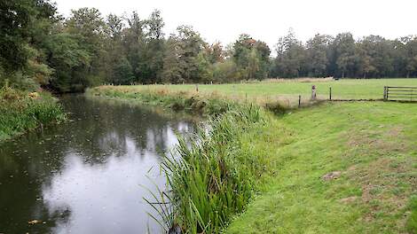 Grensrivier de Dinkel