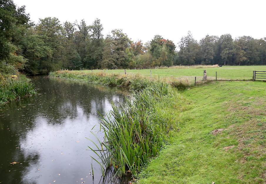 Grensrivier de Dinkel