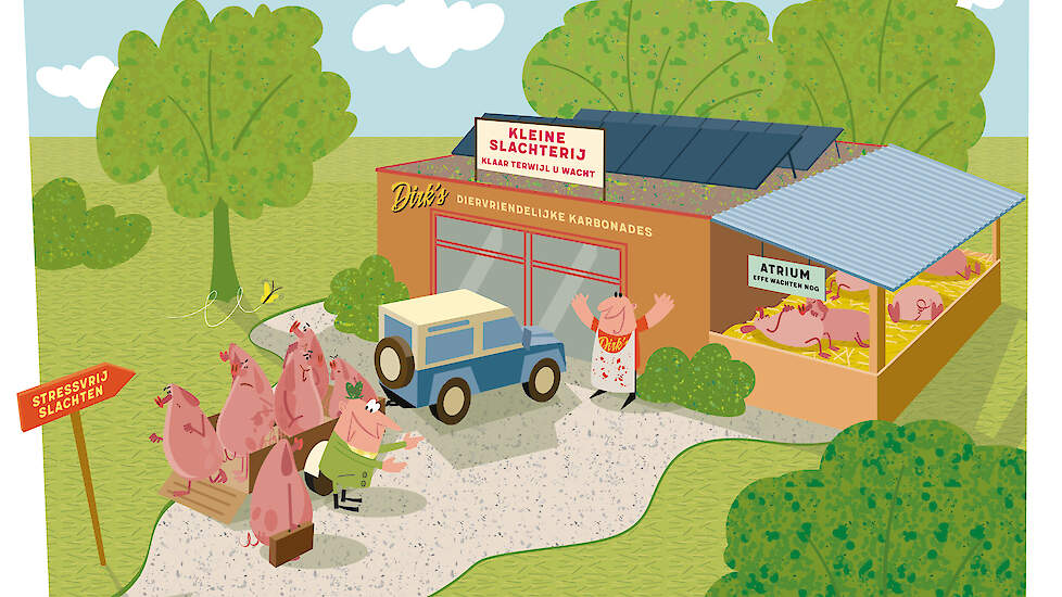 Door strengere regelgeving en hoge kosten is het voor kleinere slachterijen steeds moeilijker varkens te kunnen blijven slachten.