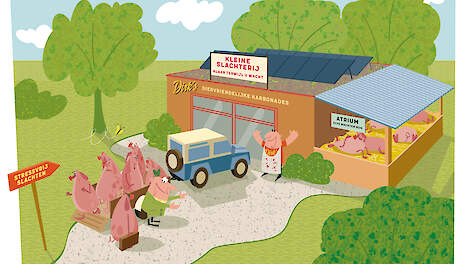Door strengere regelgeving en hoge kosten is het voor kleinere slachterijen steeds moeilijker varkens te kunnen blijven slachten.