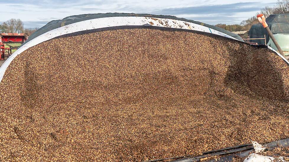 Slurf Sodagrain Power