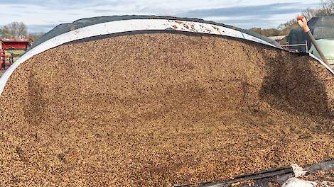 Slurf Sodagrain Power