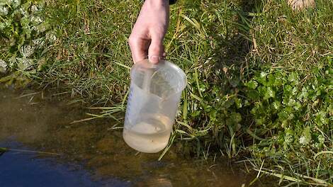 Beeld ter illustratie.