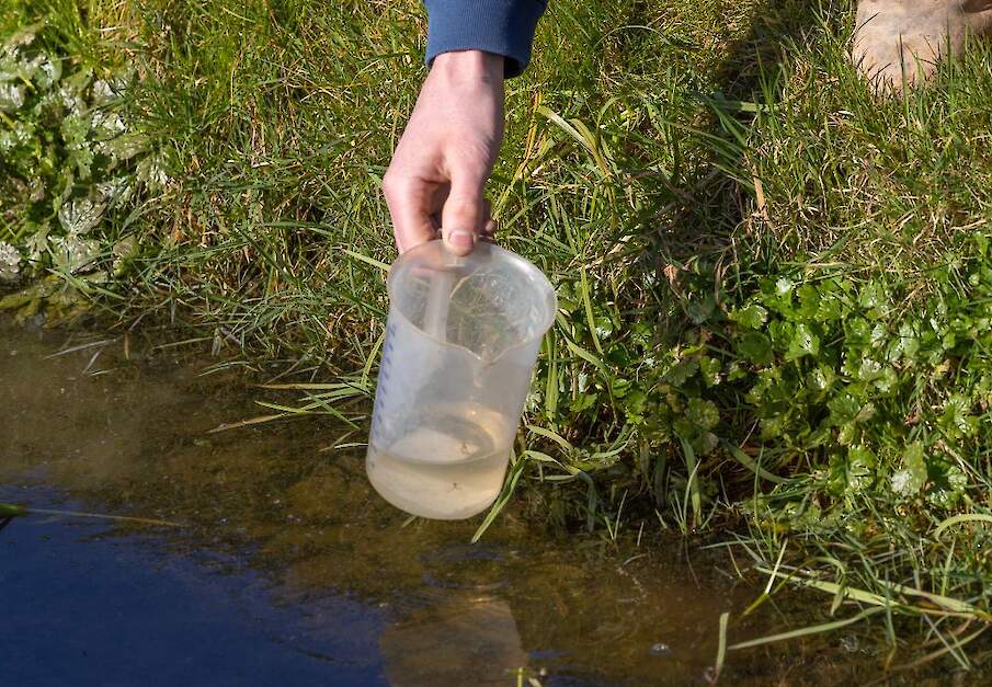 Beeld ter illustratie.