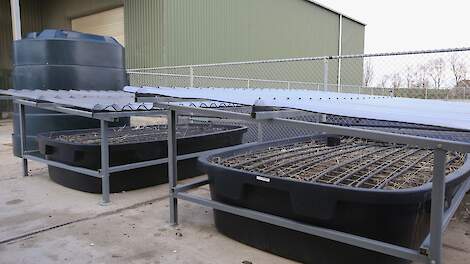 Een Phytobac is een oplossing die past bij was- en spoelplaatsen om erfemissies te voorkomen. Dit is een bestaand bezinkingssysteem in Sint Philipsland (ZL).